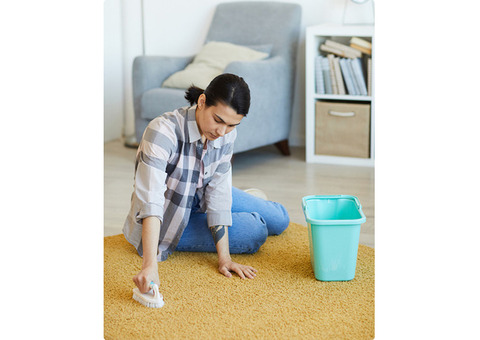 Area Carpet Cleaning Bal Harbor