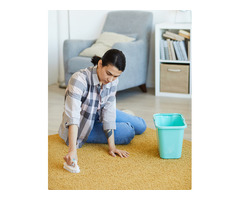 Area Carpet Cleaning Bal Harbor