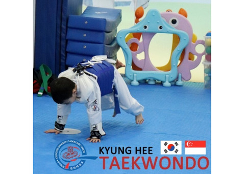 To mastering TKD kicks demands dedication to holistic training