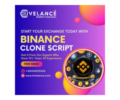 Fast-Track Your Crypto Exchange Launch with Binance Clone Script!