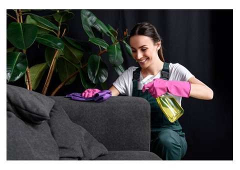 Upholstery cleaning service  - Ezydry