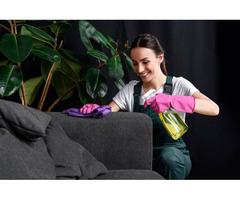 Upholstery cleaning service  - Ezydry