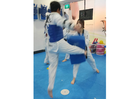 TKD is a martial art that combines agility, explosive power etc.