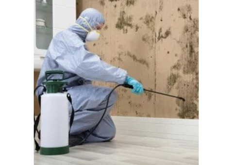 Termite Control Service in Bangalore