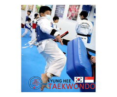 TKD's enjoyable and demanding programs cultivate vital life skills