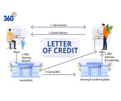 Trade Confidently with LC Confirmation: Explore Our Services