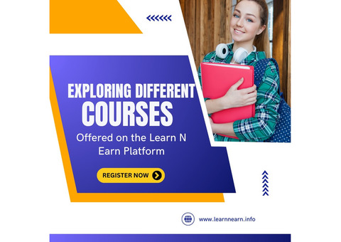 Exploring Different Courses Offered on the Learn N Earn Platform