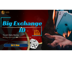 Best Big Exchange ID Services in India