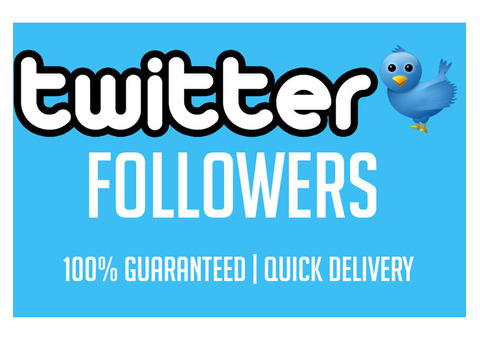 Buy 500 Twitter Followers – 100% Real & Instant Delivery
