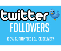 Buy 500 Twitter Followers – 100% Real & Instant Delivery