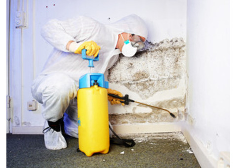 Top Mold Removal NJ Company | PM Mold Remediation