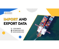 How Export Data Can Be Your Secret Weapon