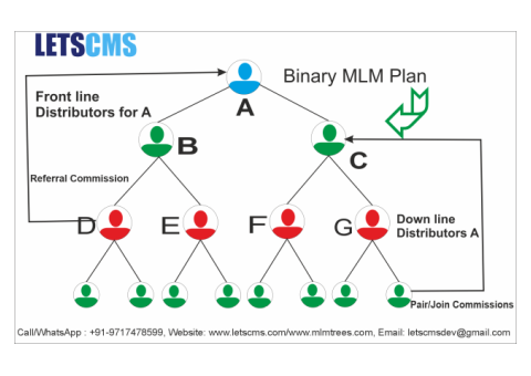 MLM Binary Plan | Binary MLM Software | Binary MLM Direct Selling