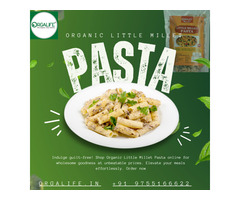 Organic Little Millet Pasta Online At Best Price Raipur