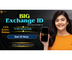 Get Quick Withdrawal Big Exchange ID via WhatsApp