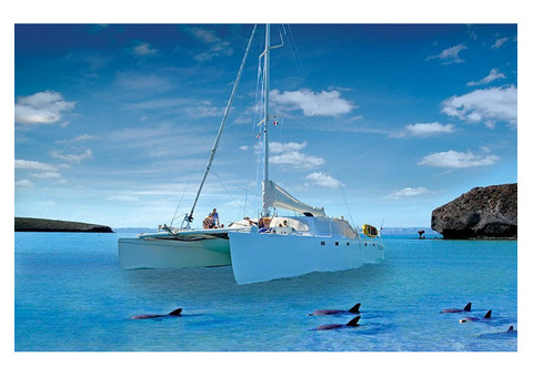 Luxury Day trip in Espiritu Santo Island