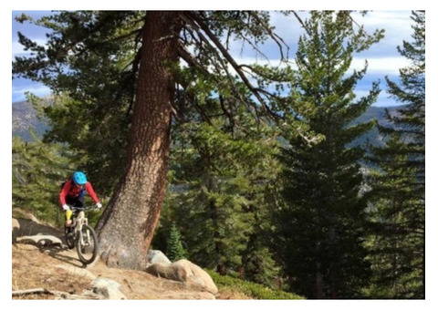 The Tahoe Mountain Bike Trail System is An Adventurer's Paradise