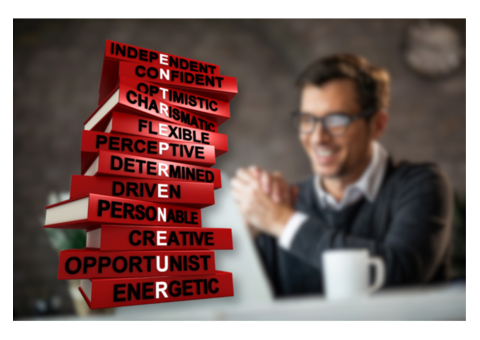 Classification of Entrepreneurs