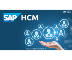 Best SAP HR/HCM Training In BTM Bangalore - Softgen Infotech