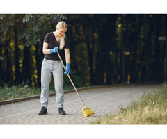 Expert Driveway Cleaning Services in Ponte Vedra Beach, Florida