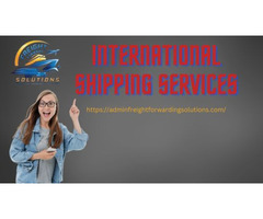 Best International Shipping Services Provider in New york