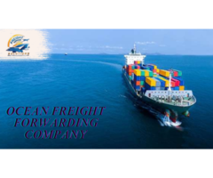 Best Ocean Freight Forwarding Company in New York