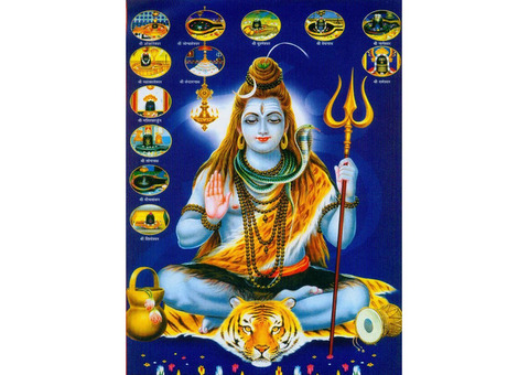 Love Marriage Specialist Baba Ji +91-9878986116