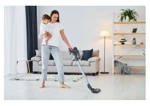 Pest control services