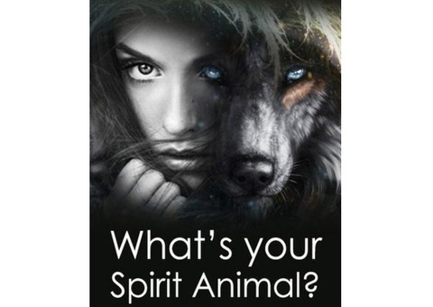 Spiritual Healer Near Me Shares Insights【✚２７７２５７７０３７６】