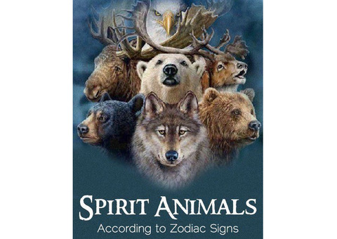 How to Interpret Spiritual Messages from Animals Nearby