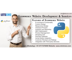 Ecommerce website development Services | Business website in Python