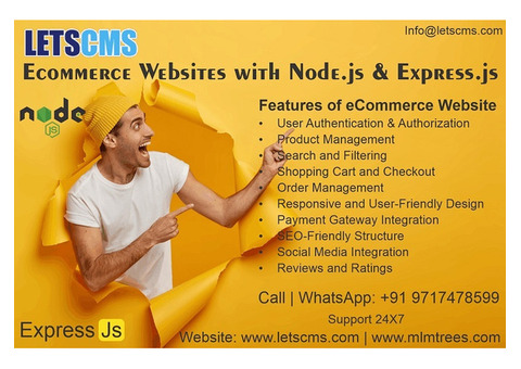 Node.js Ecommerce Website Development and Customization