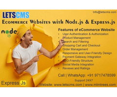 Node.js Ecommerce Website Development and Customization