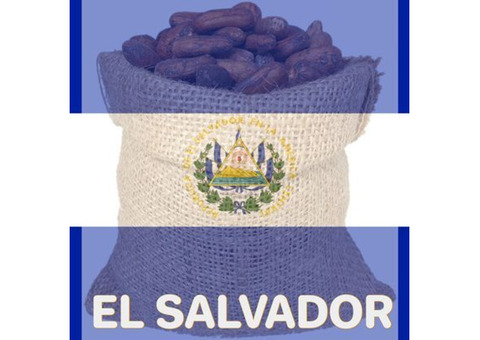 Organic Cocoa Beans