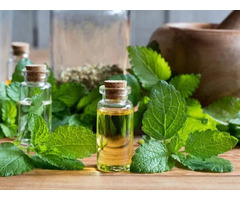 Cold-Pressed Lemon Balm Essence: Lift Your Mood