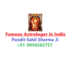 Love Marriage Specialist in Goa +91-9056562757