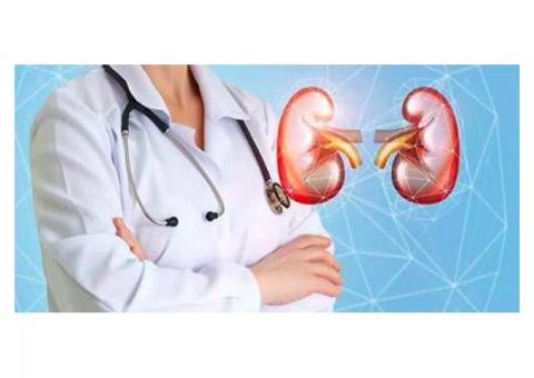 Kidney Transplant in Pune | Kidney Specialist in Pune