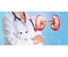 Kidney Transplant in Pune | Kidney Specialist in Pune