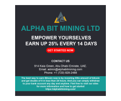 How to invest in cryptocurrency 2022 alphabitmining,com