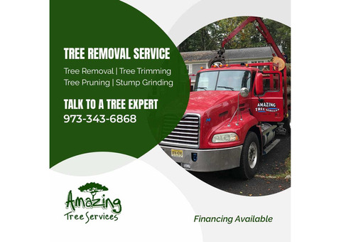 Tree Removal Service in NJ