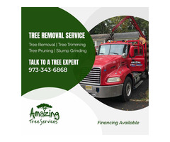 Tree Removal Service in NJ