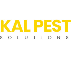 Insect Control Kalamazoo MI - Kal Pest Solution