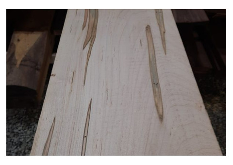Exceptional Ambrosia Maple