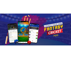 Hire Fantasy Cricket App Developers in India