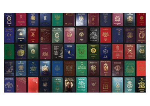 Buy Quality Real And Fake Passports,Driver s License,ID Cards,etc