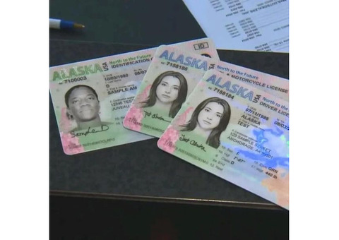 Buy Quality Real And Fake Passports,Driver s License,ID Cards,etc