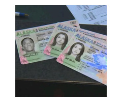 Buy Quality Real And Fake Passports,Driver s License,ID Cards,etc