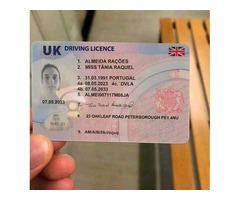 Buy Quality Real And Fake Passports,Driver s License,ID Cards,etc