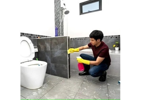 Pest Control Services in Bangalore