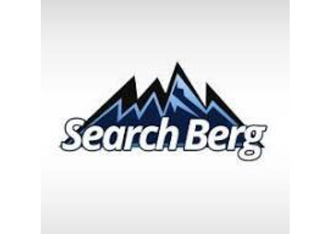 SearchBerg Reviews | Read Customer Service Reviews of searchberg.com